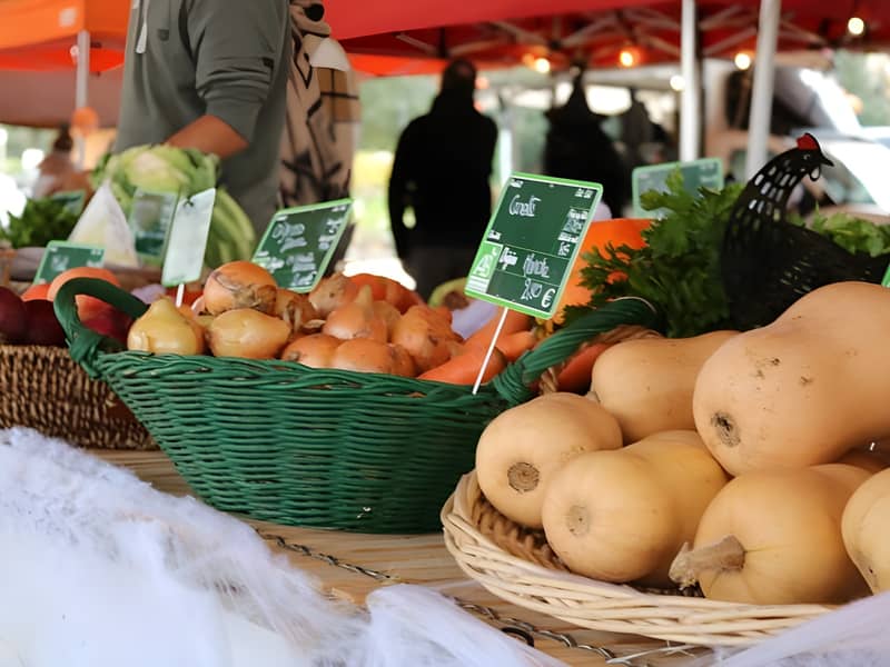 La Halle Gourmande : Marché hebdomadaire du vendredi après-midi de Sadirac