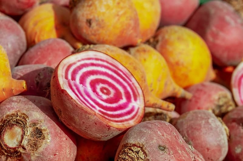 Marché de producteurs locaux, chaque 1er dimanche du mois