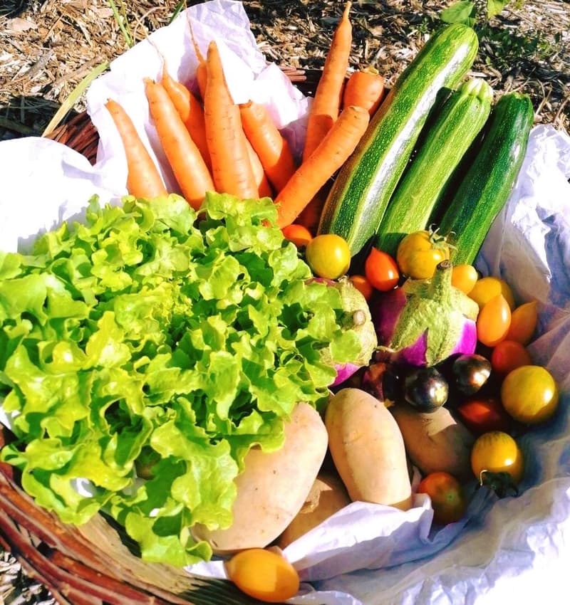 Marché hebdomadaire Mery-es-Bois — Méry-ès-Bois