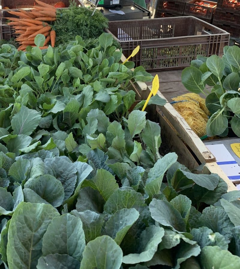 Marché hebdomadaire — Chaillac