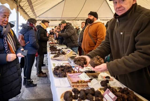 Les rendez-vous des producteurs de Villamblard