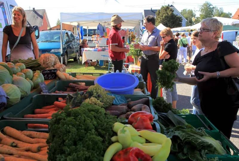 Petit marché hebdomadaire du jeudi matin