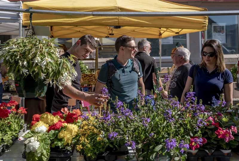 Marché de Lutzelhouse