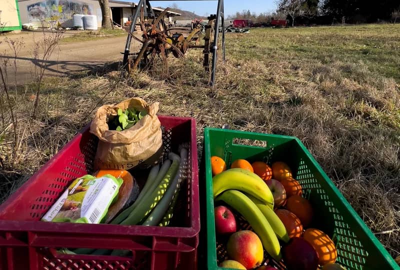 Marché des maraîchers de la Doller