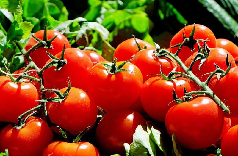 Marché de Huisseau-sur-Mauves - Dimanche — Huisseau-sur-Mauves