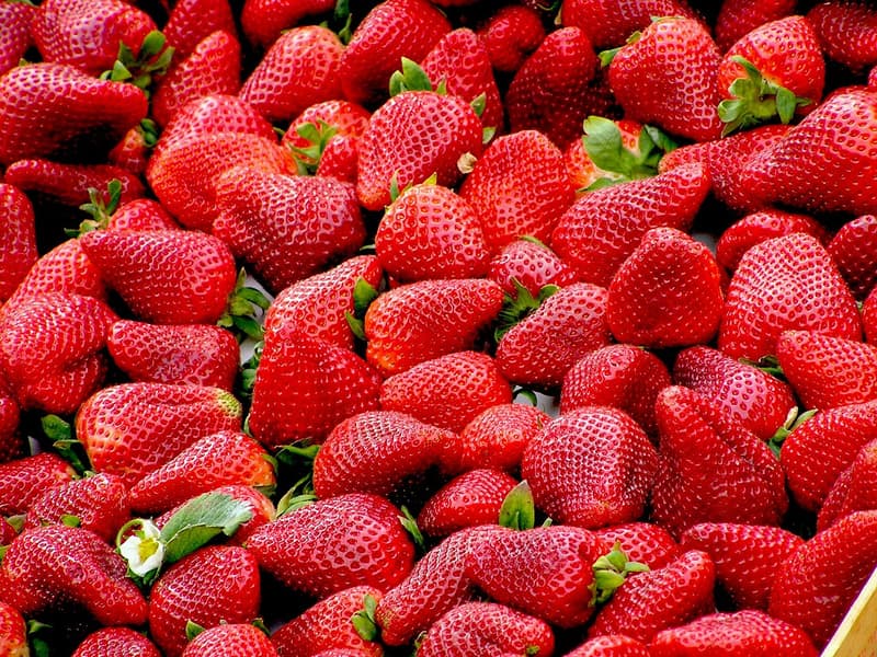 Marché de Boigny-sur-Bionne - Samedi — Boigny-sur-Bionne