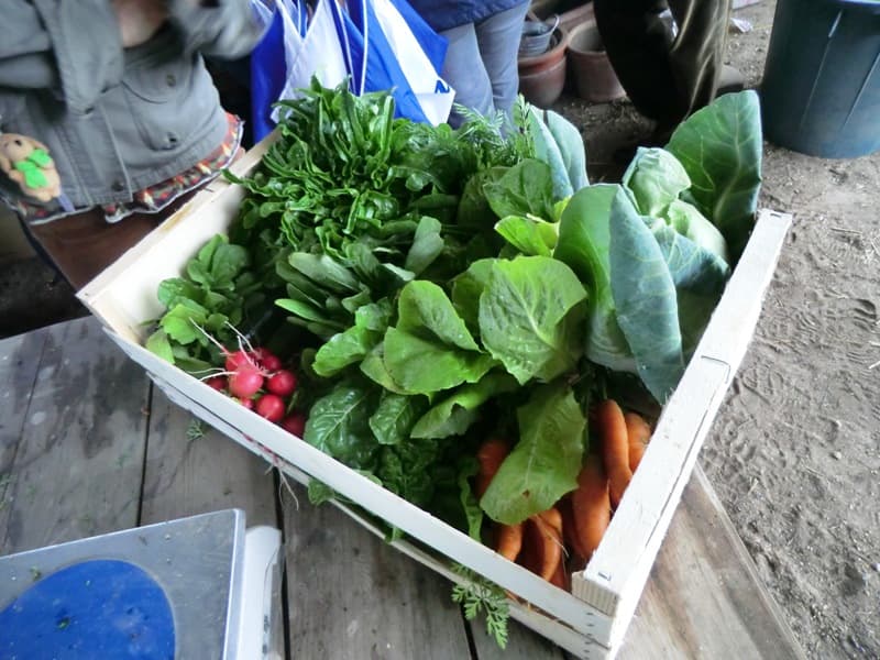 Marché de Producteurs de Chenaud — Parcoul-Chenaud (24410)