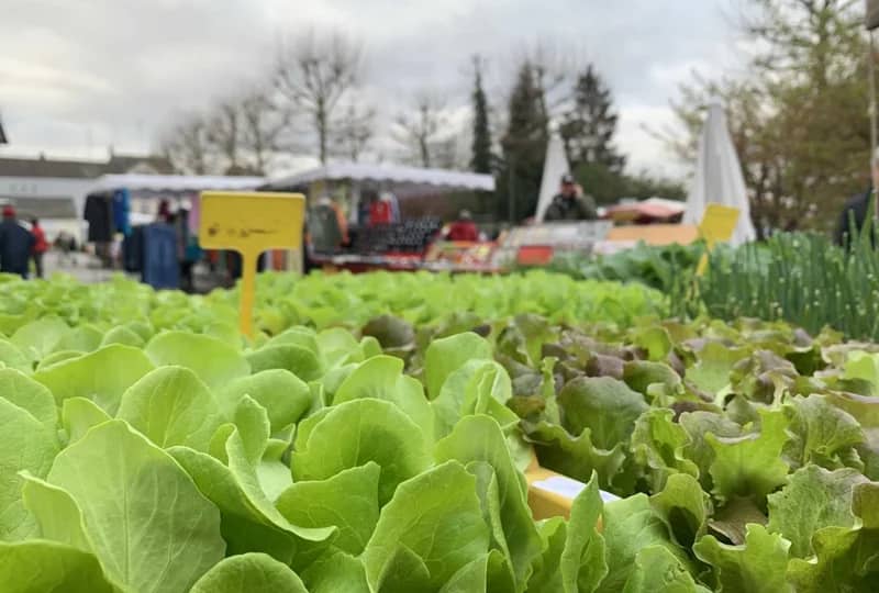 Marché hebdomadaire