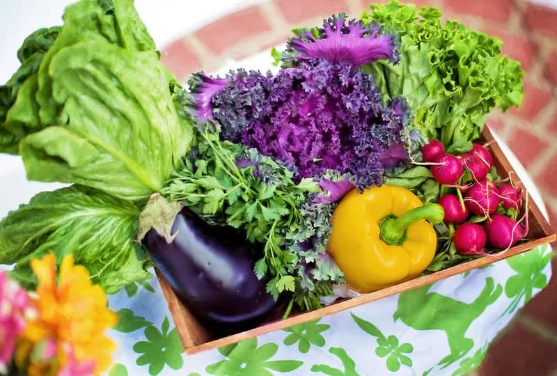 Vente aux jardins du Leienzug