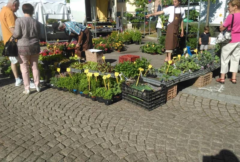 Marché mensuel de Hirtzbach